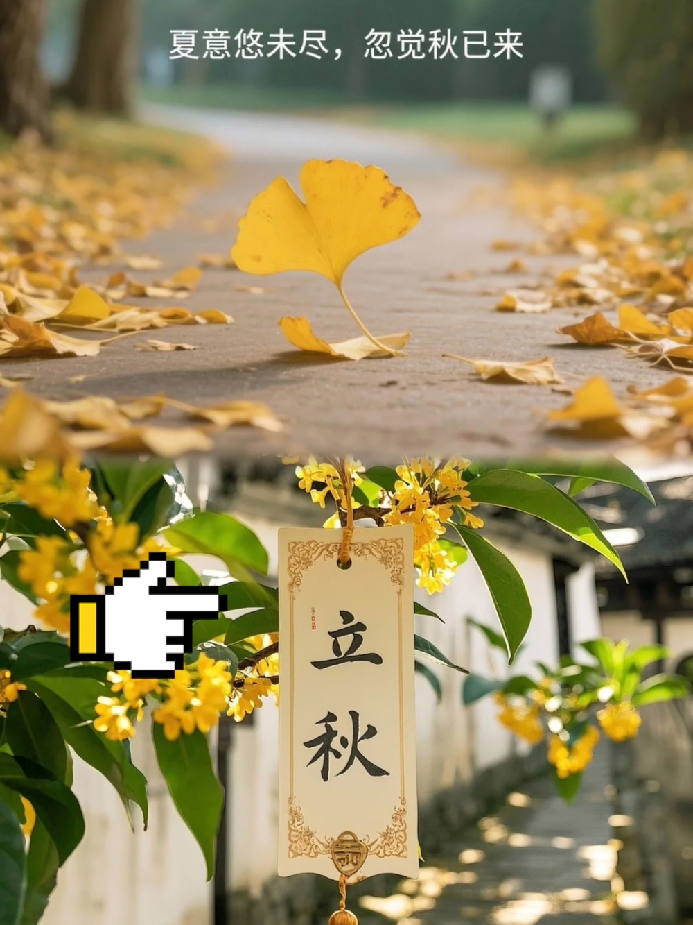 娱乐生活 第197页
