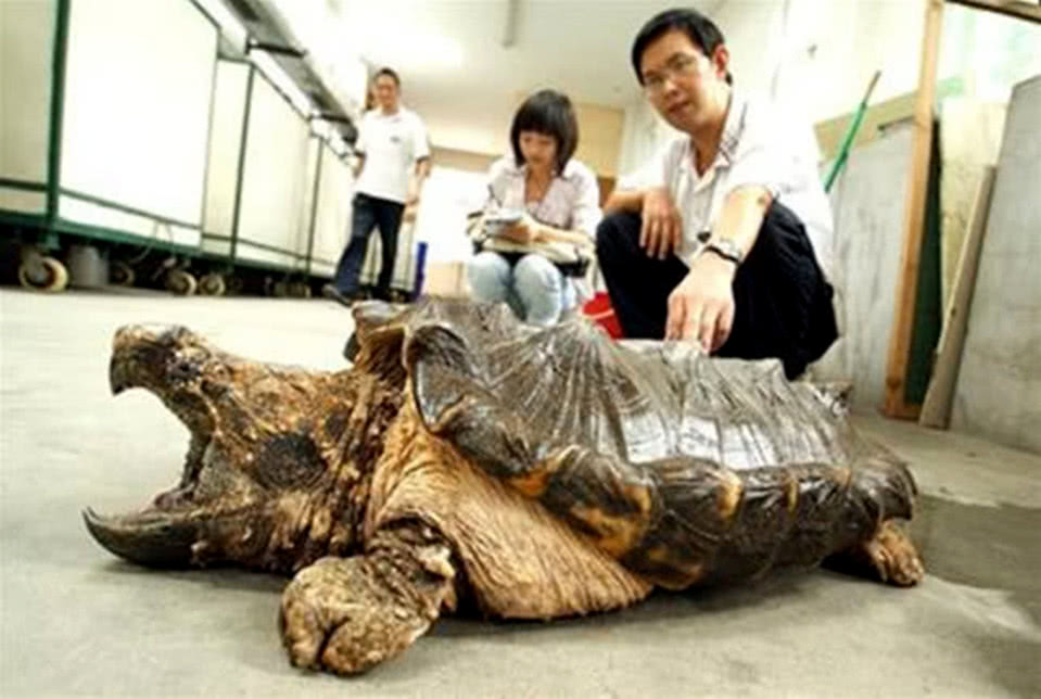 地方新闻 第157页
