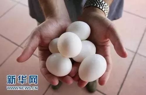 港澳新闻 第138页