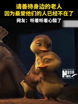 热点生活 第137页