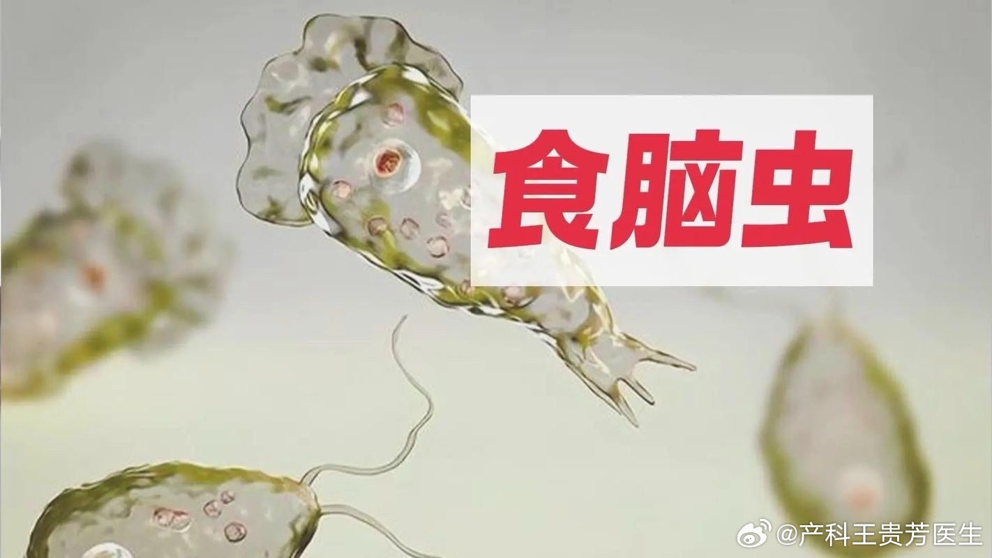 港澳新闻 第111页