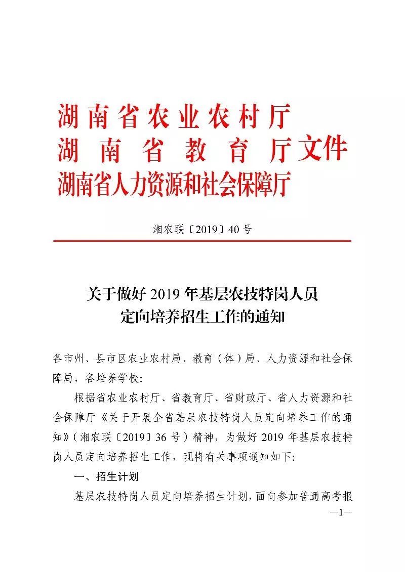 湖南一地编制精简16.6%湖南一地政府编制精简16.6%，重塑行政效能，推动地方发展新篇章